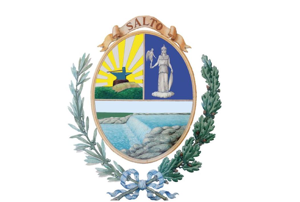 Escudo de Salto Recolección y Barrido - Barométrica