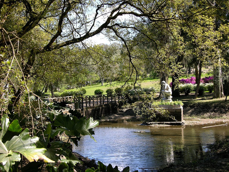 Parque Solari