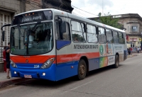 Servicio especial de ómnibus con horario  extendido al concluir el desfile de carnaval