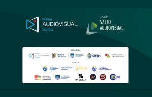 FALLOS DEL JURADO DEL FONDO SALTO AUDIOVISUAL
