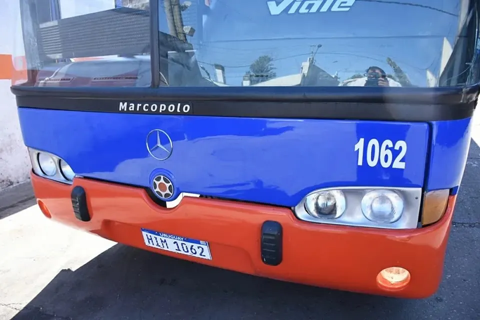 omnibus